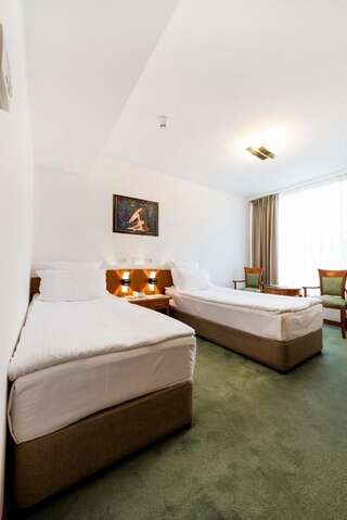 Отель Hotel Duke Romana Бухарест Двухместный номер эконом-класса с 2 отдельными кроватями-5